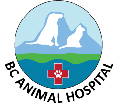 BC Animal Hospital